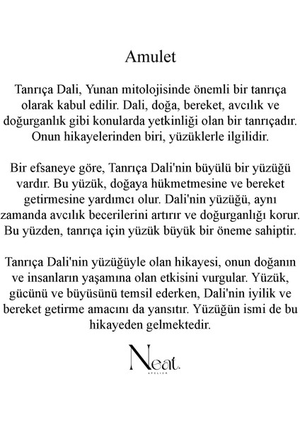 Amulet Kadın Çelik Yüzük