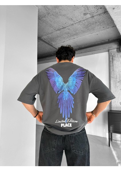 Erkek %100 Pamuk Yazlık Bisiklet Yaka Oversize Kabartma Yazılı ve Baskılı T-Shirt Gri modelleri