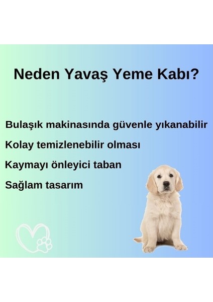 Yavaş Yeme Kabı modelleri