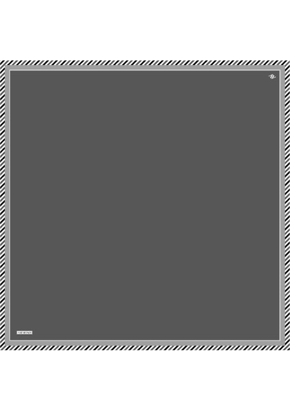 İpek Eşarp 2023 Yaz 8966-66 Koyu Gri Twill