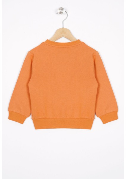 Basket Topu Nakışlı Kiremit Renk Erkek Çocuk Sweatshirt modelleri