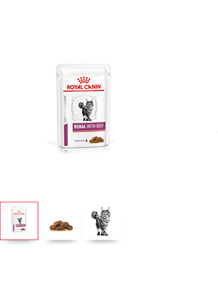 Royal Canin R. Canin Renal With Beef Yaş Kedi Maması 12 x 85 Gr.