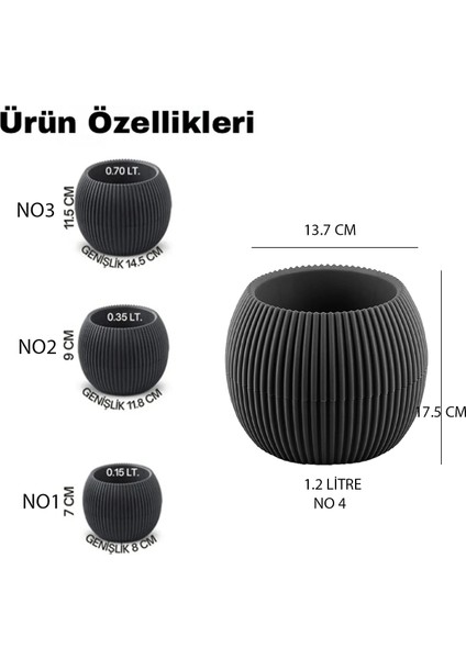 4'lü Kaktüs ve Çiçekler İçin Dekoratif ve Şık Karasu Mercan Saksı Seti