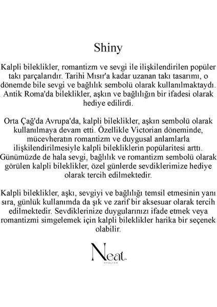 Shiny Kadın Çelik Bileklik
