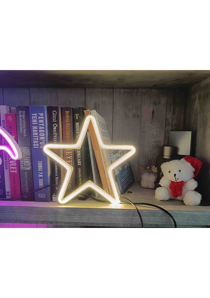 Neon Işıklı Yıldız modelleri