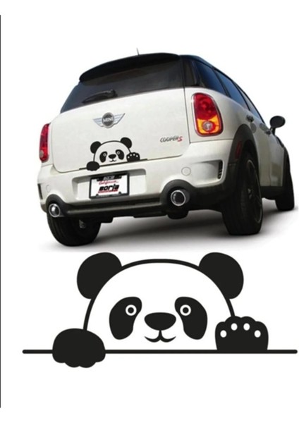 Panda Bagajdan Bakan Panda Sticker Araba, Motorsiklet, Laptop, Cam Sticker