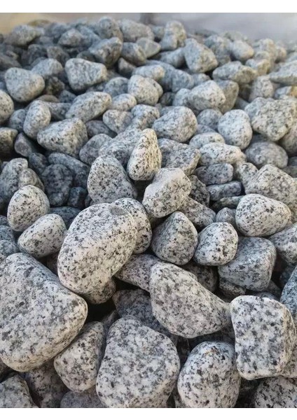 Doğal Granit Gri Çakıl Taşı 20 kg 1-3 cm Dere Çakıl Bahçe Peyzaj Saksı Teraryum Akvaryum Taşı fırsatları