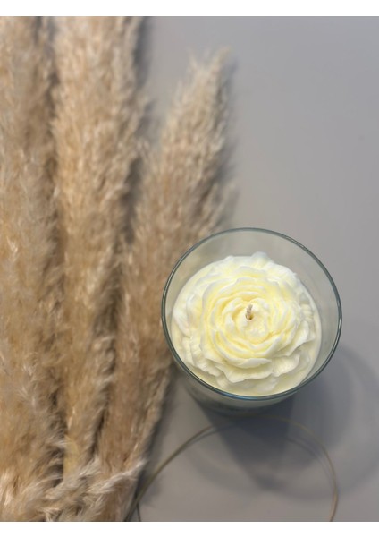 Chemdle Şakayıklı Bardak Mum modelleri