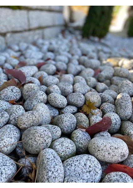 Doğal Granit Gri Çakıl Taşı 1 kg 1-3 cm Dere Çakıl Bahçe Peyzaj Saksı Teraryum Akvaryum Taşı modelleri