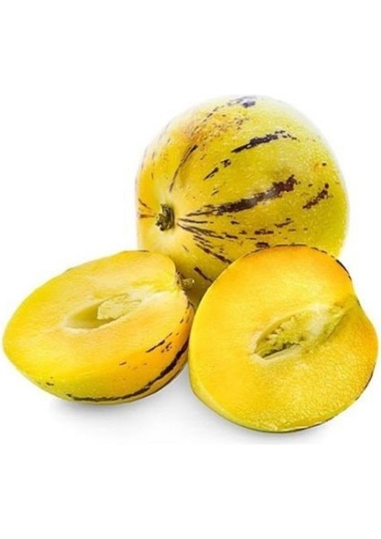 Saksıda Pepino Fidanı