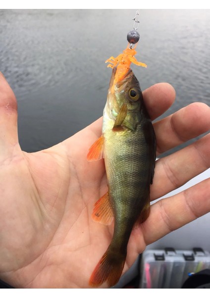Nayada 2'' (5cm) 9P Yusufçuk Böceği Lrf Silikon Yem