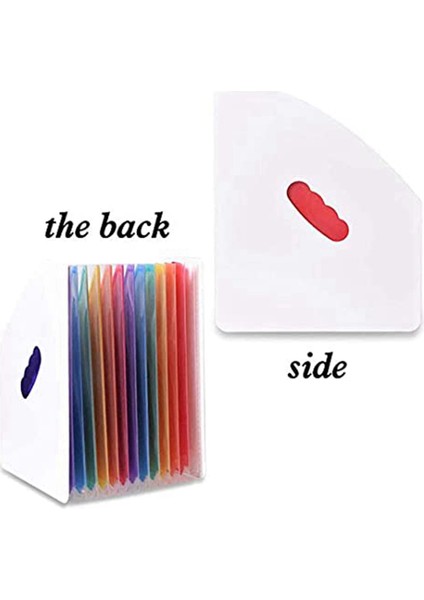 Genişletilmiş Dosya Tutucu Klasörü Dikey A4 Dikey Dosya Depolama Sepeti Masaüstü 13 Cep Dosya Tutucu (Yurt Dışından) modelleri