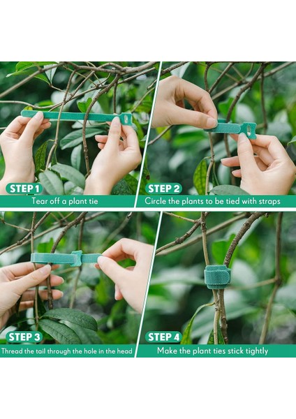 120 Adet Yeniden Kullanılabilir Sabitleme Tesisi Ayarlanabilir Bahçe Bağları Bitki Asmaları Destekleyici, 8 Inç, Yeşil (Yurt Dışından) fiyatları