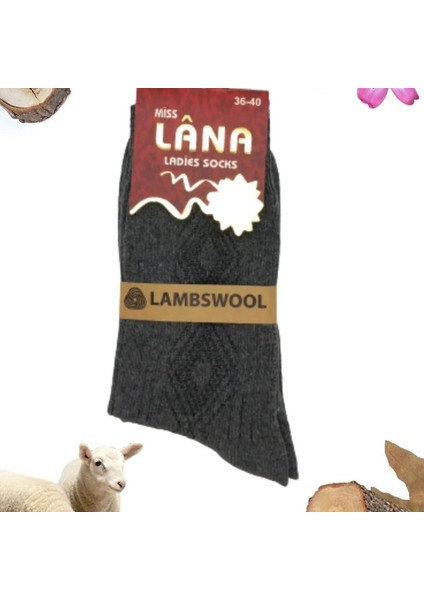 Kral Socks Kışlık Yün Çorap Lambswool (Özel Kuzu Yünlü) Kadınlar Için Termal Özellikli