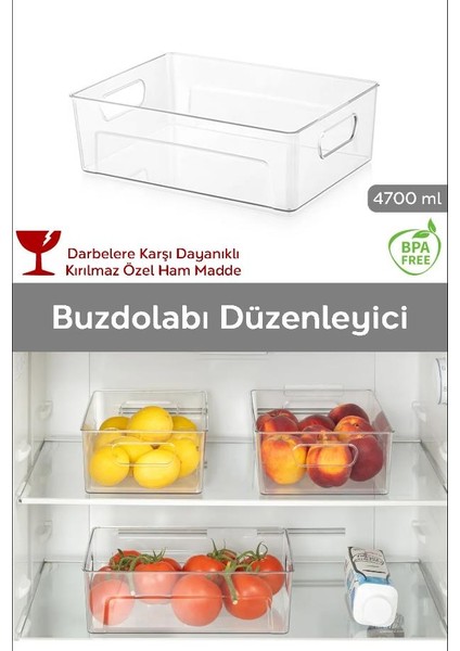 Büyük Boy Kulplu Kırılmaz Buzdolabı Düzenleyici Organizer Kutu fiyatları