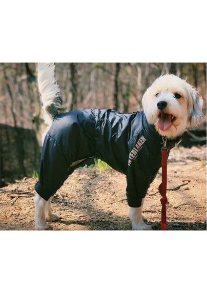 Fonksiyonel Fermuarlı Tulum Rüzgarlık Yağmurluk Köpek Kıyafeti m siyah