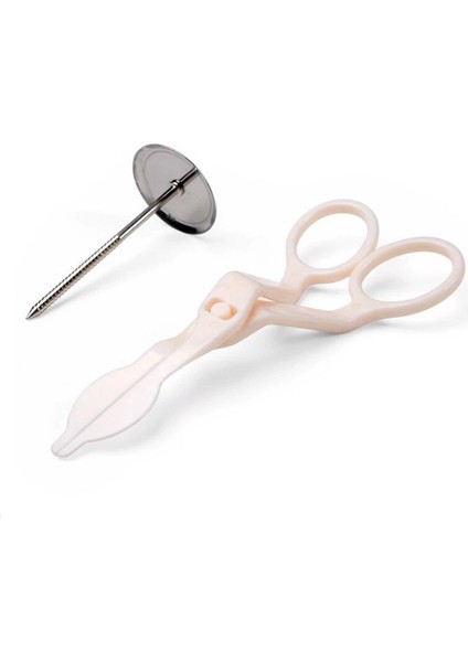 Et Pasta Süsleme Çivileri Paslanmaz Çelik Kek Çiçek Iğnesi ve Plastor Fondan Dekor Çiçekler Kaldırıcı Araçları (Yurt Dışından) fiyatları