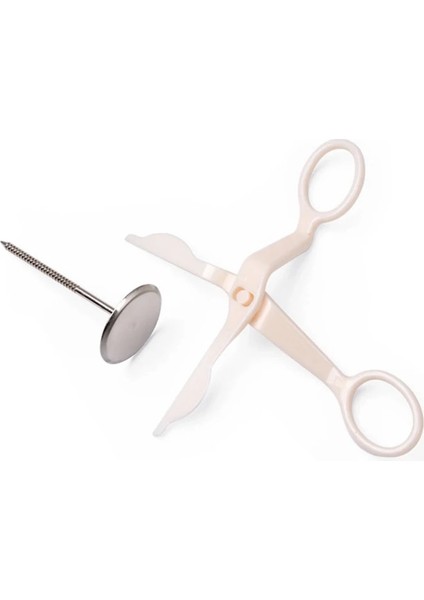 Et Pasta Süsleme Çivileri Paslanmaz Çelik Kek Çiçek Iğnesi ve Plastor Fondan Dekor Çiçekler Kaldırıcı Araçları (Yurt Dışından) modelleri