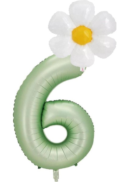 6 Yaş Su Yeşili Renk Rakam ve Papatya Folyo Balon Seti