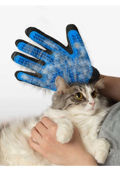 Kedi & Köpek Tüy Toplama Masaj ve Kaşıma Eldiveni fiyatları
