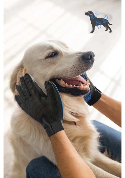 Kedi & Köpek Tüy Toplama Masaj ve Kaşıma Eldiveni indirimleri