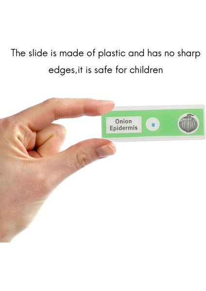 48 Adet Çocuklar Plastik Hazırlanan Mikroskop Slaytları Hayvan Böcekler Bitkiler Çiçekler Stereo Mikroskoplar Için Örnek Örnekler (Yurt Dışından)