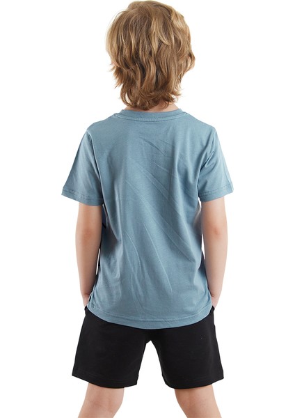 Korsan Dinolar Erkek Çocuk T-Shirt Şort Takım fiyatları