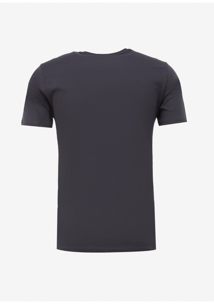 Bisiklet Yaka Antrasit Erkek T-Shirt 232 Lcm 242024 Dıvıded Antrasıt fiyatları