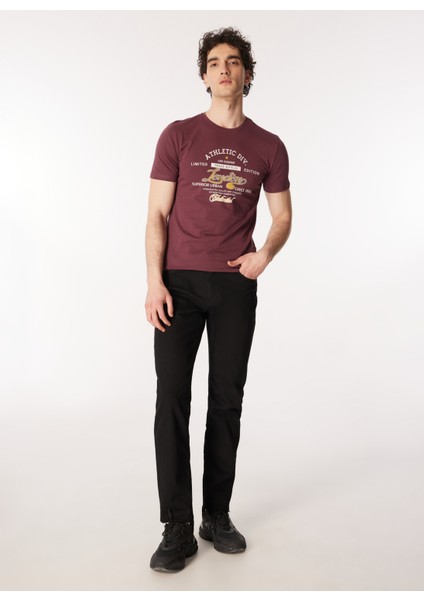 Bisiklet Yaka Mürdüm Erkek T-Shirt 232 Lcm 242024 Dıvıded Mürdüm