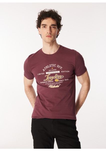Bisiklet Yaka Mürdüm Erkek T-Shirt 232 Lcm 242024 Dıvıded Mürdüm