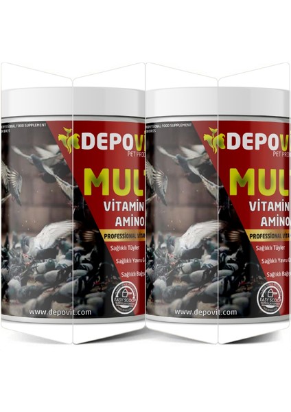 2'li Multivitamin Aminoasit ( Güvercin Vetümkanatlılar Için ) 2X300 =600 gr