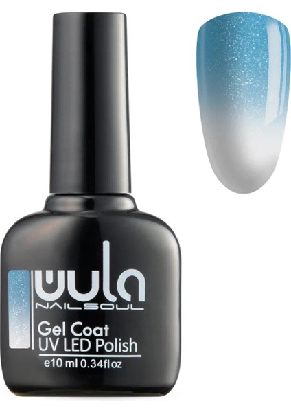 Kalıcı Oje Nailsoul Termo Simli Ton 643 10 ml