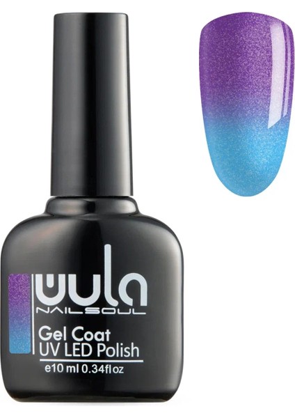 Kalıcı Oje Nailsoul Termo Simli Ton 640 10 ml