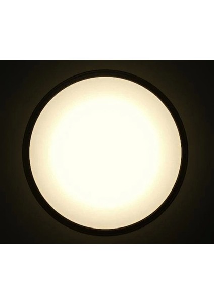 18W Sıva Üstü LED Panel Siyah Oval