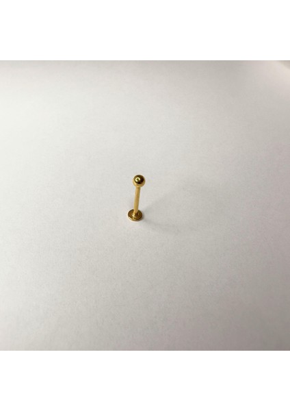 Babs Cerrahi Çelik Altın Renkli 10 mm Top Model Unisex Dudak Piercing