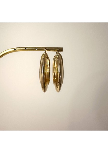 Bryony 316 L Çelik Altın Renk Büyük Midye Halka Model Kadın Küpe fırsatları