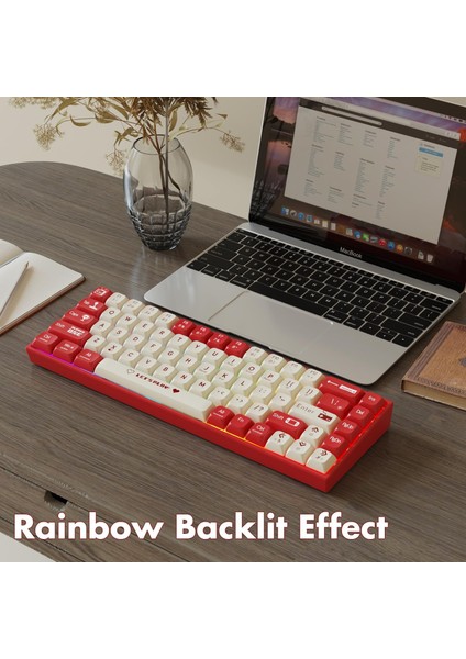 AK680 Kablolu Red Switch Mekanik Klavye-Rainbow Aydınlatma Hot-Swap