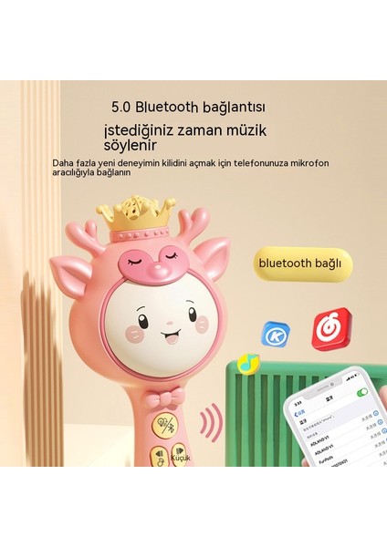 Janjon Star Çocuk Kablosuz Bluetooth Mikrofon Karikatür Erken Eğitim Mikrofon Karaoke Şarkı Söyleme Makinesi Ses Hepsi Bir Arada Erken Eğitim Oyuncak (Yurt Dışından)