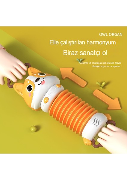 Janjon Star Bebek Akordeon Oyuncak Bebek Hurdy-Gurdy Yatıştırıcı Müzik Erken Eğitim Aydınlanma Çocuk Karikatür Müzik Aleti Oyuncak (Yurt Dışından) fiyatları