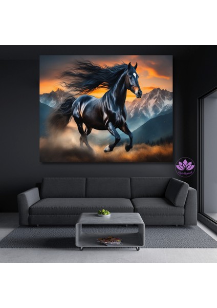 Renkli Baskılı Sayılarla Boyama Hobi Seti (Çerçeveli) 40X50 Cm: Siyah Inci 2