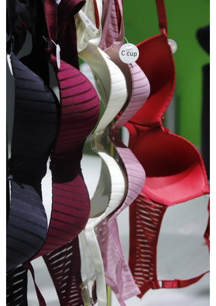 Gül Kurusu Büyük Beden C Cup modelleri