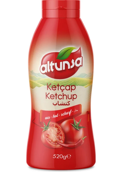 Acılı Ketçap 520 gr