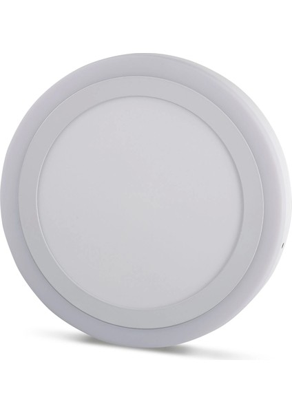 18W+6 Mavi+Beyaz Panel Oval