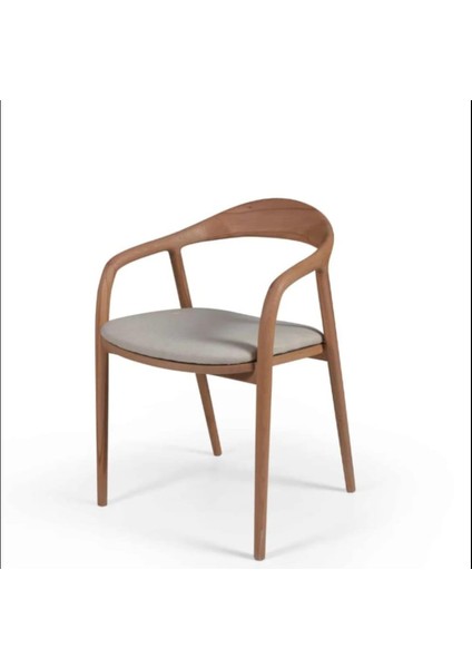 Delfı Sandalye fiyatları