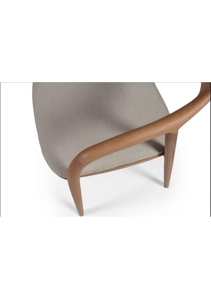 Delfı Sandalye modelleri