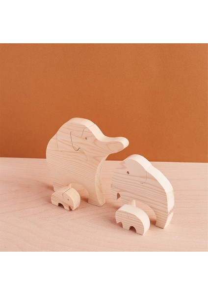 Ahşap Puzzle Oyuncak Seti