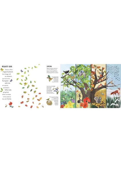 Lıttle Tıger Seasons