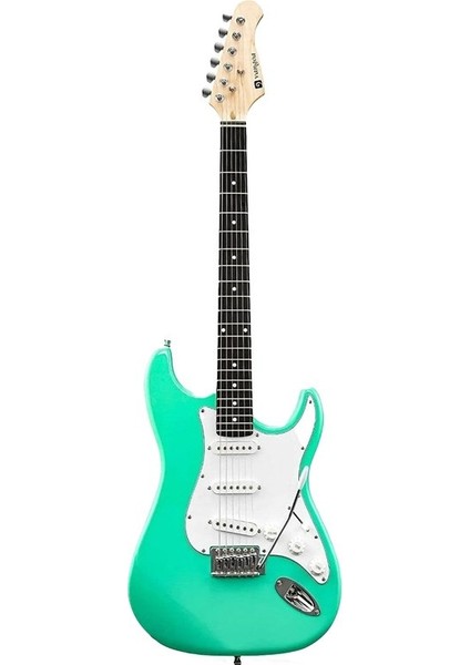 Stratocaster Elektro Gitar