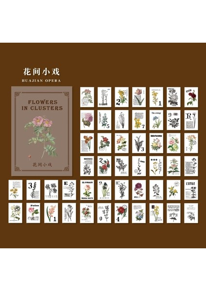 B Tarzı Dimeets Vintage Yaratıcı Yarı Saydam Malzeme Kitap Sülfürik Asit Kağıt Bitki Çiçekler Günlük Tutma Scrapbooking Kırtasiye (Yurt Dışından)