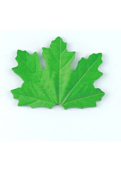 Yeşil Stil 1 Adet Lytwtw Sevimli Karikatür Akçaağaç Yaprakları Yapışkan Notlar Kırtasiye Etiket Bloknot Planlayıcısı Ofis Okul Malzemeleri (Yurt Dışından)